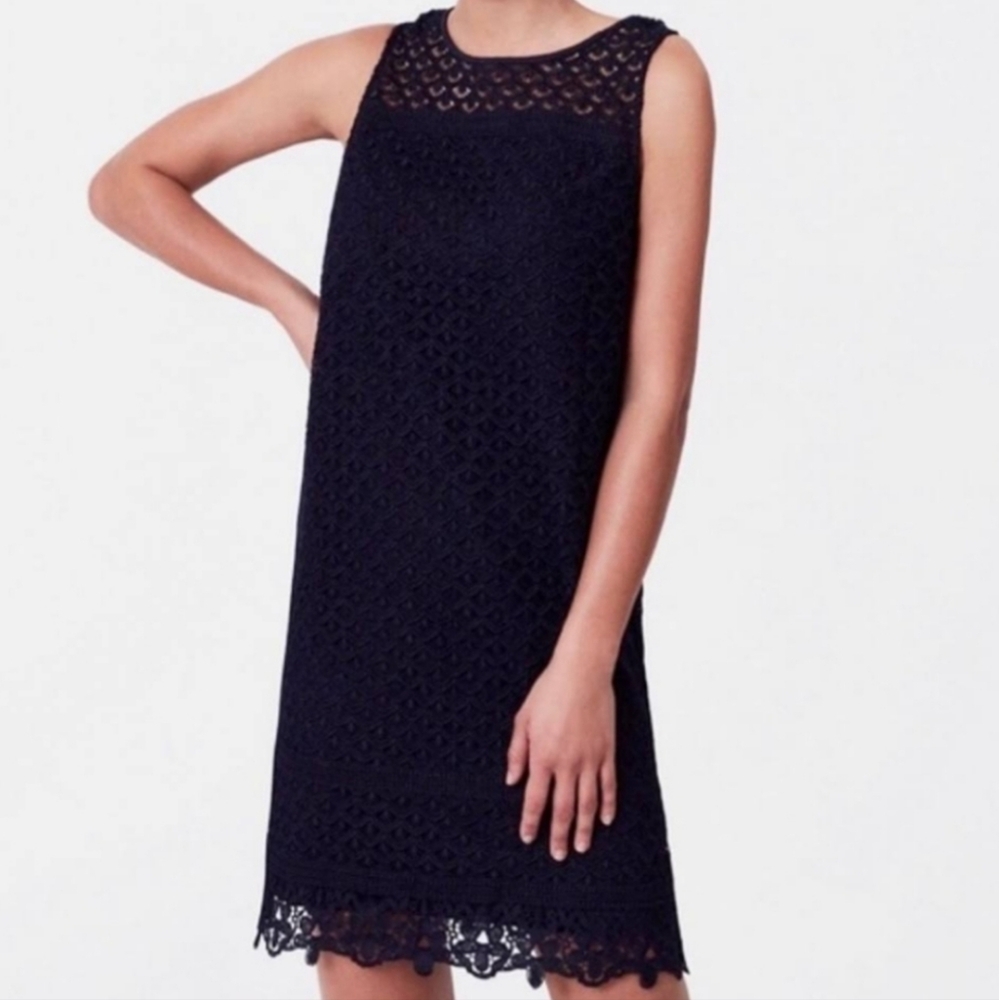 LOFT‎ Blue Sleeveless Sheath Floral Lace Mini Dress Size 4